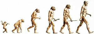 evolution