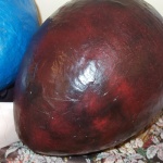 DSCF6397