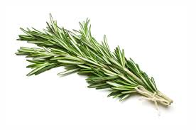 Rosemary